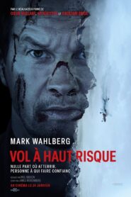 Vol à haut risque