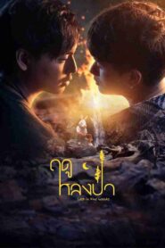 ฤดูหลงป่า