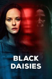 Black Daisies