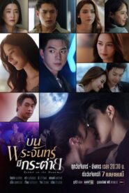 บนพระจันทร์มีกระต่าย