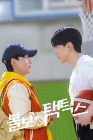 볼보이 택틱스