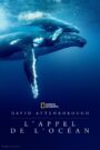 L’océan avec David Attenborough