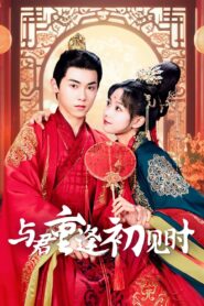 与君重逢初见时