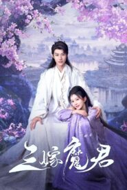 三嫁魔君