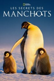 Les Secrets des manchots