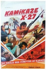 Kamikaze X-27