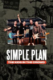 Simple Plan : des jeunes parmi la foule