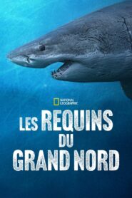Sharks of the North