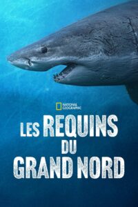 Sharks of the North