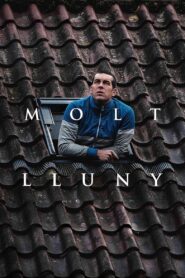 Molt lluny